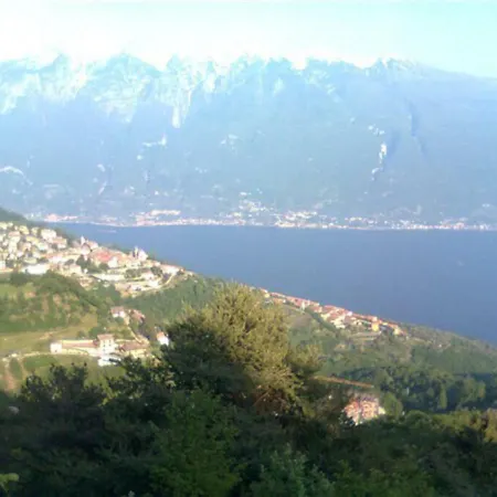 Apartement Peonia Mit Pool In Apartamento *